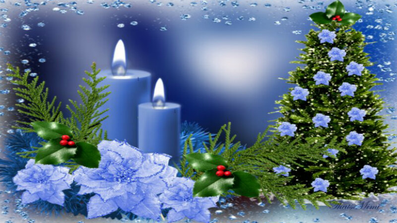 Blue Candles and Tree