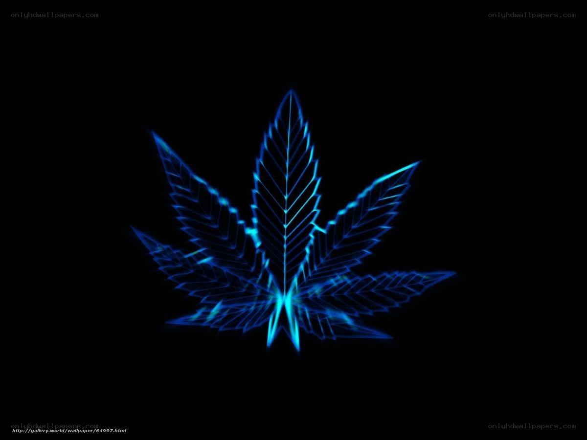 blue cannabis leaf design