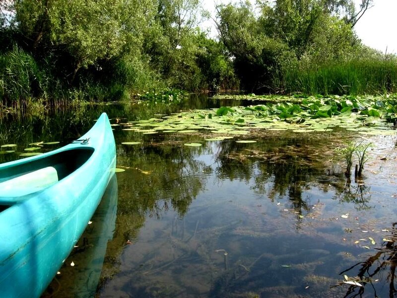 Blue Canoe on River