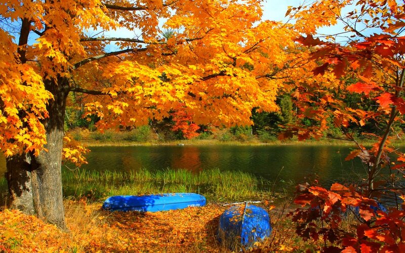 Blue Canoes by Lake