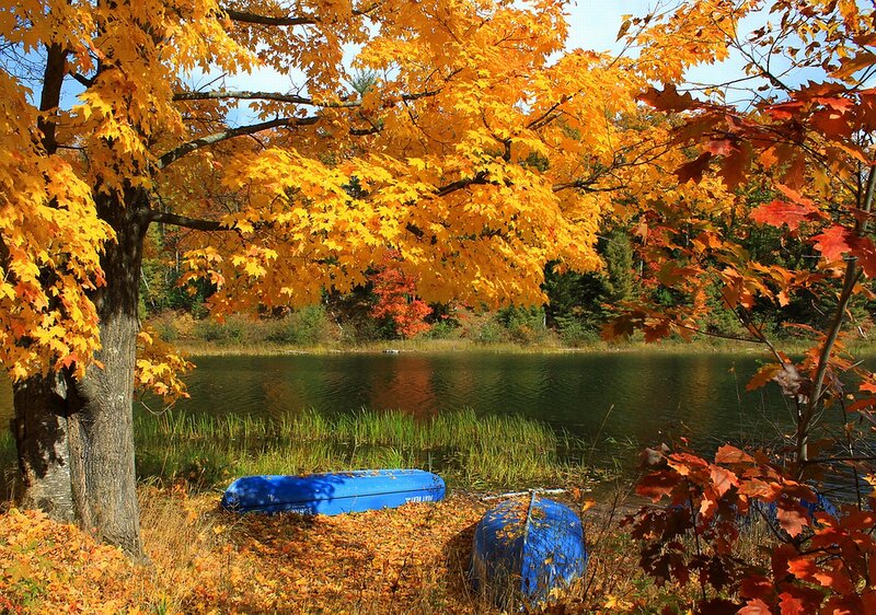 Blue Canoes on Shore