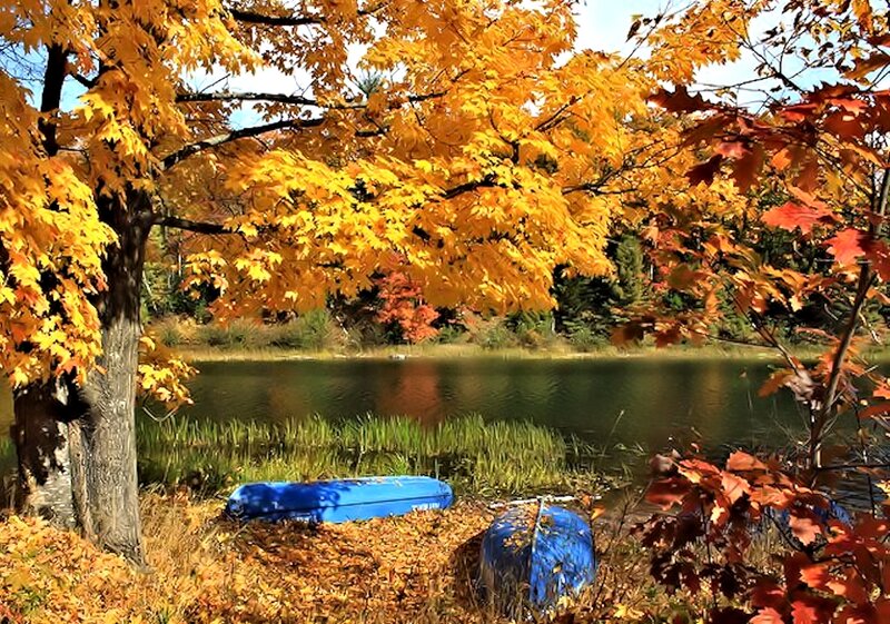 Blue Canoes on Shore — Yellow