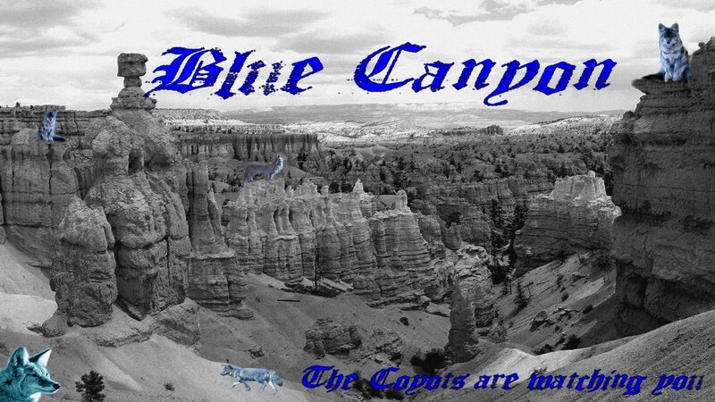 Blue Canyon with coyotes