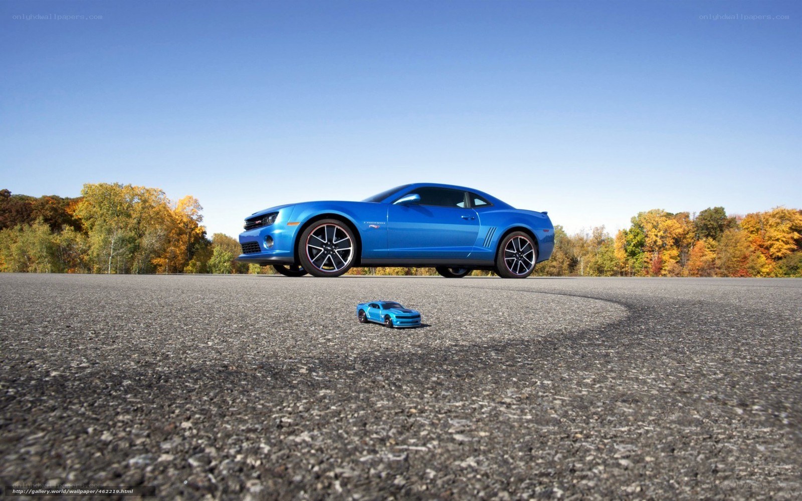 Blue car and toy on pavement