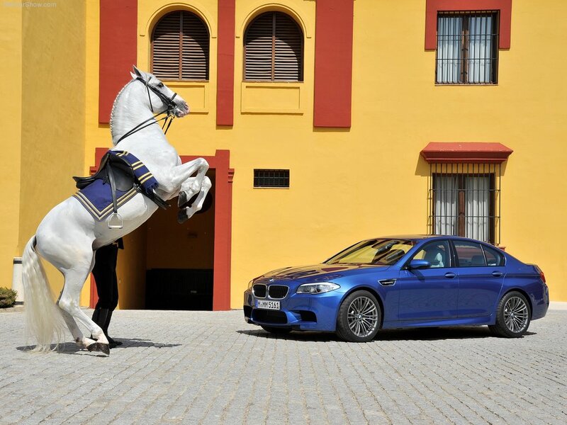 Blue Car and White Horse
