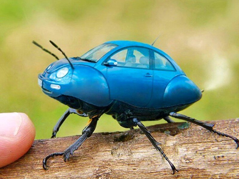 blue car beetle toy