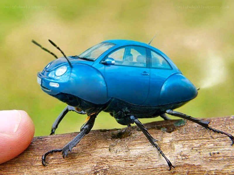 blue car beetle toy