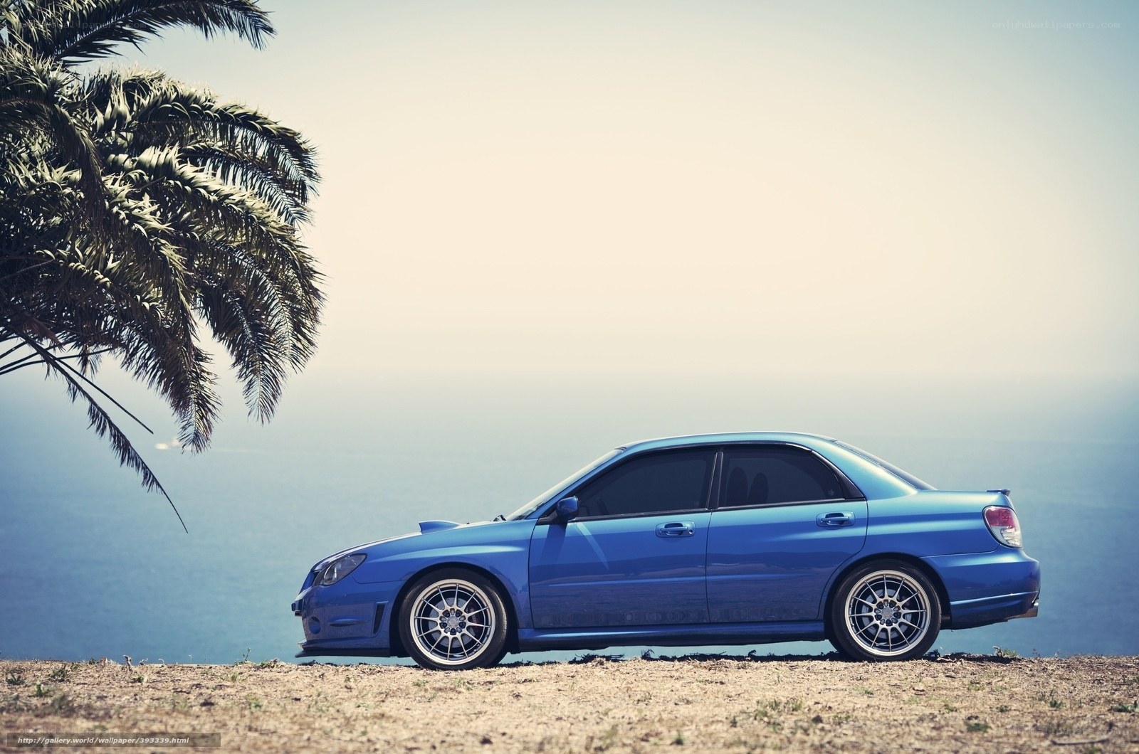 Blue car by the sea