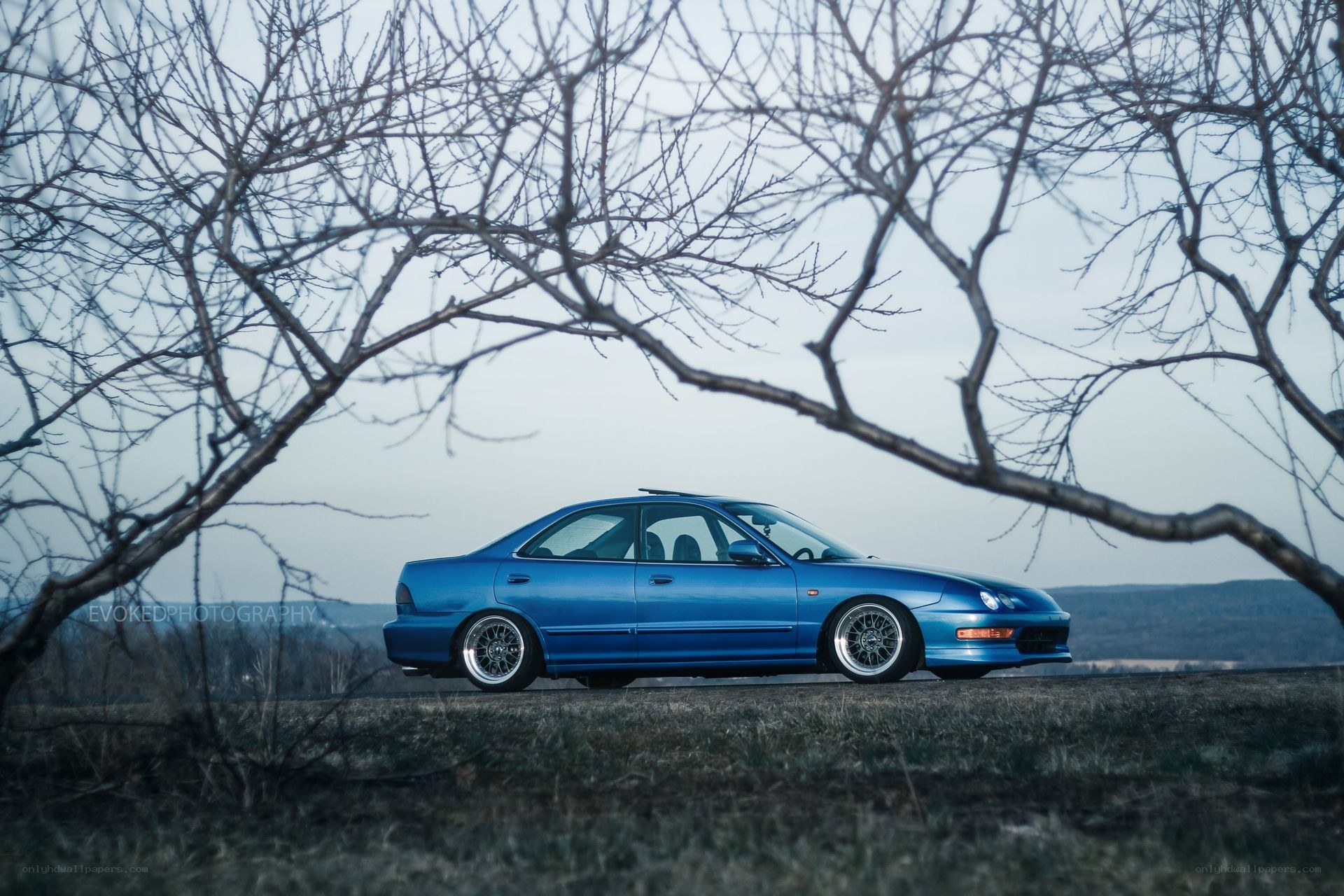 Blue car in a field