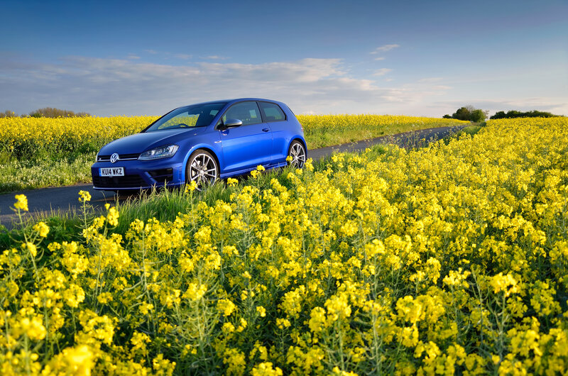 Blue Car in Field