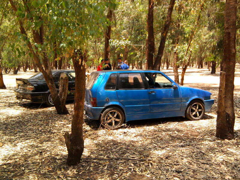 Blue Car in Forest — Serene