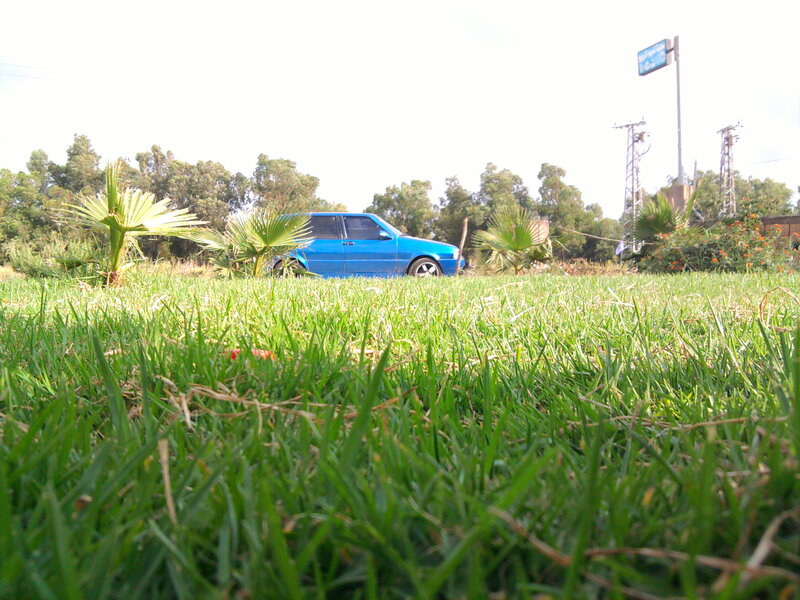 Blue Car in Grass
