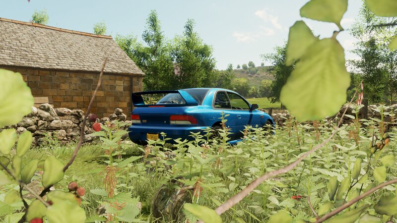 Blue Car in Overgrown Field
