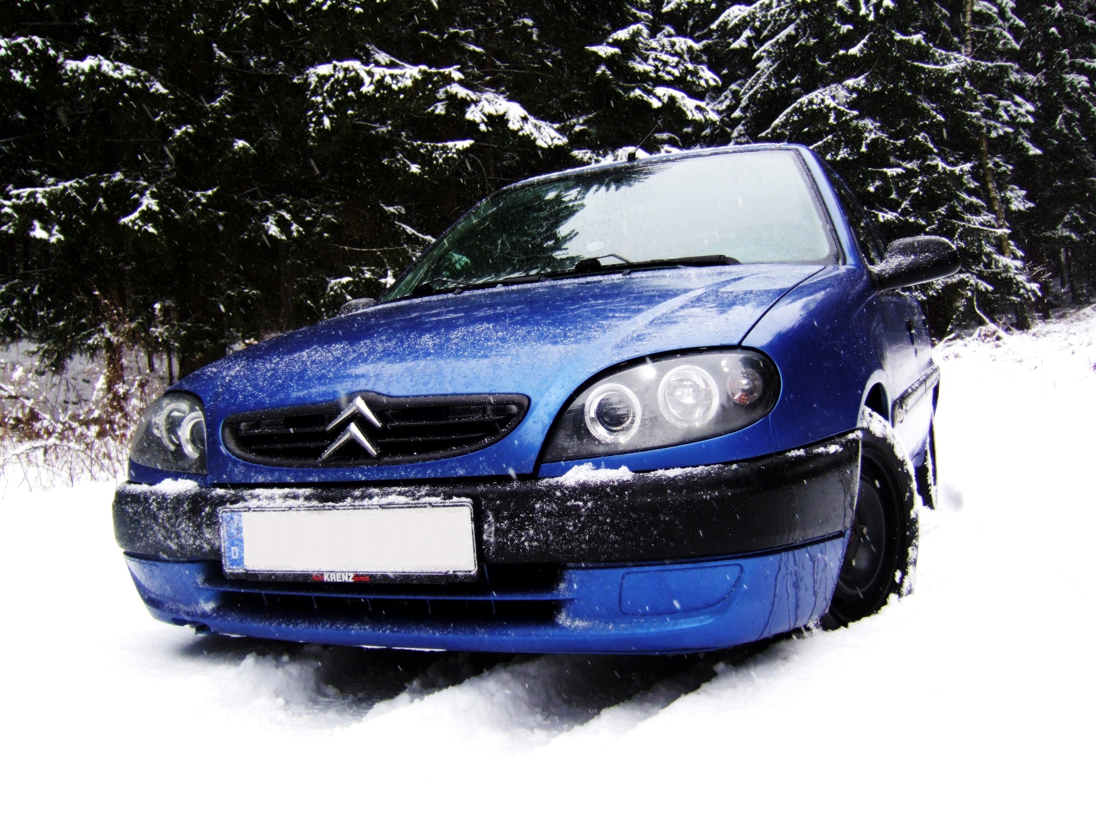 Blue car in snowy forest