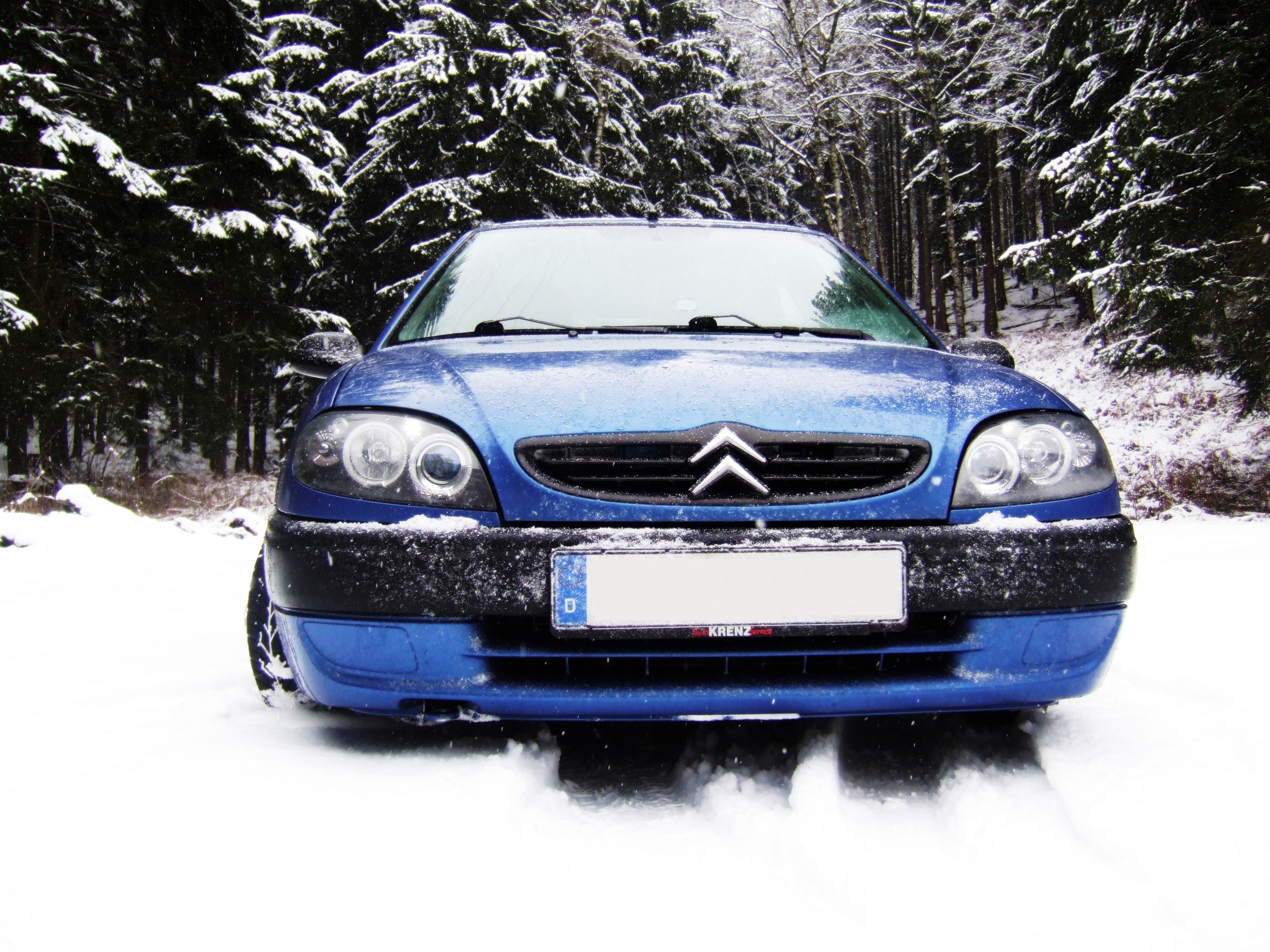 Blue car in snowy forest