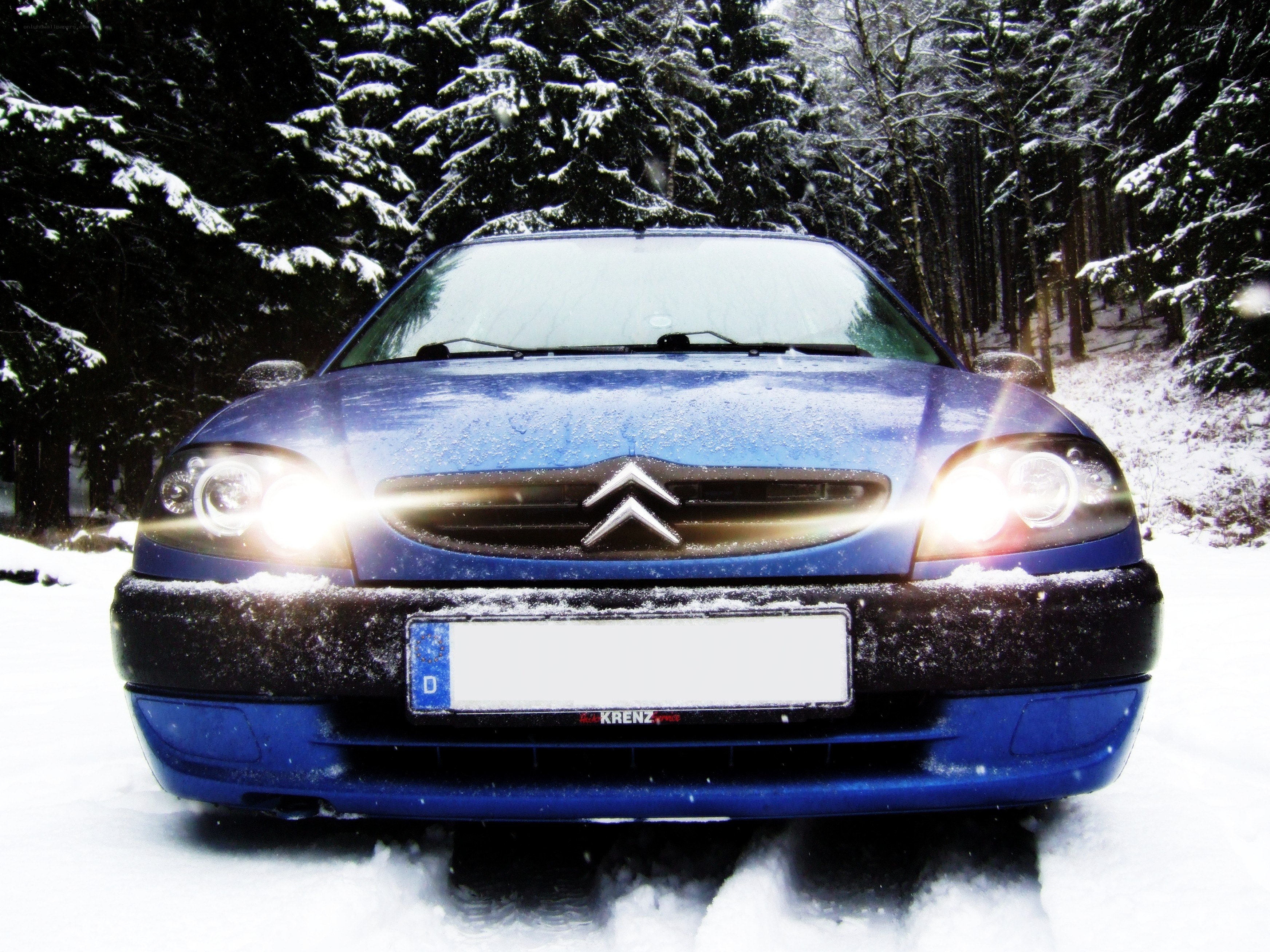Blue car in snowy forest