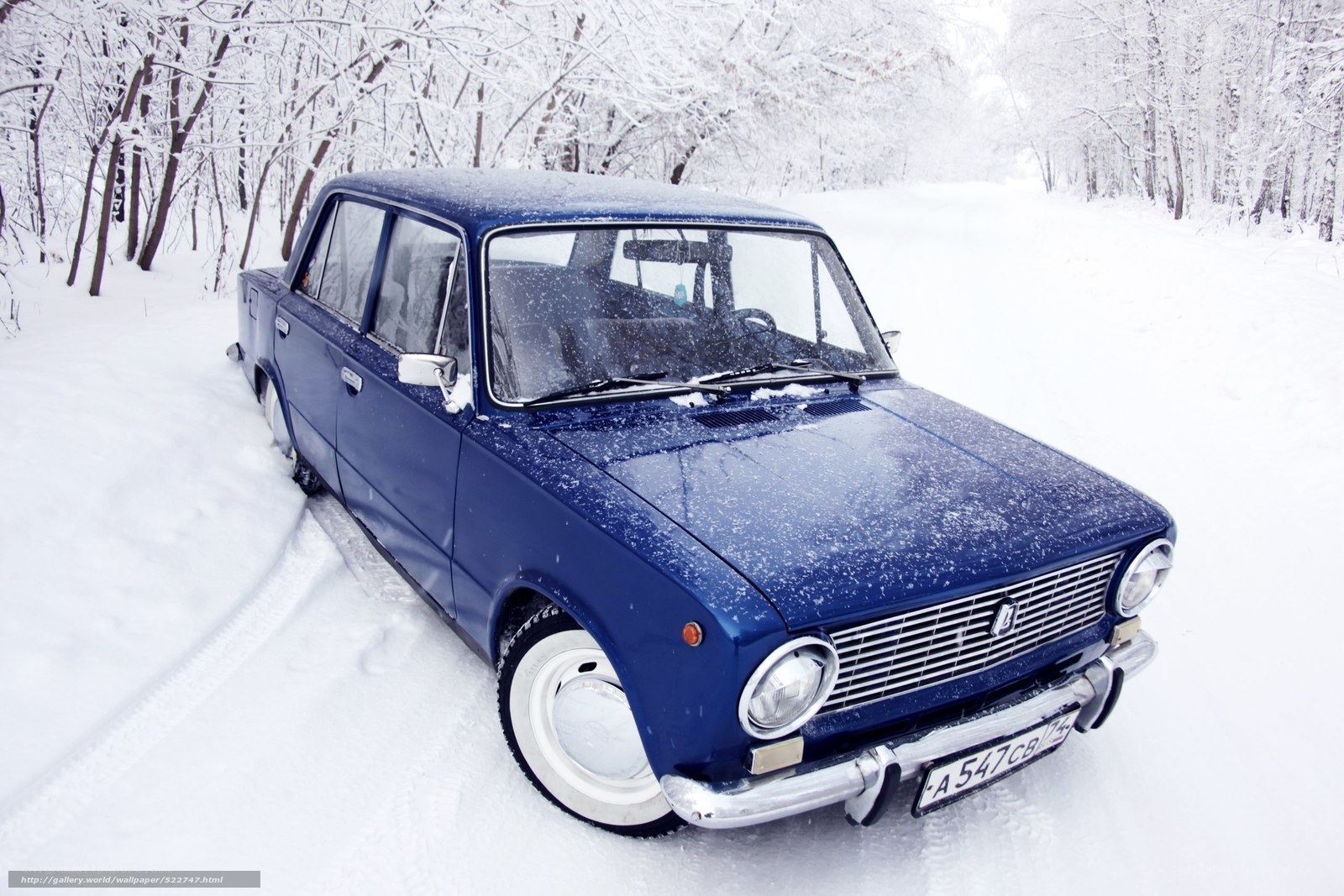 Blue car in snowy forest