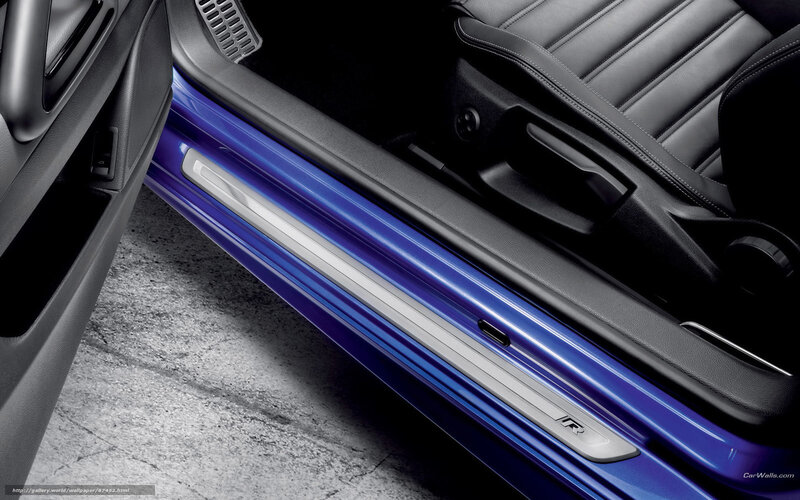 blue car interior door