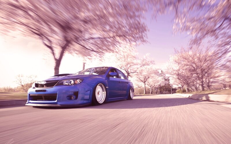 Blue car on a cherry blossom road