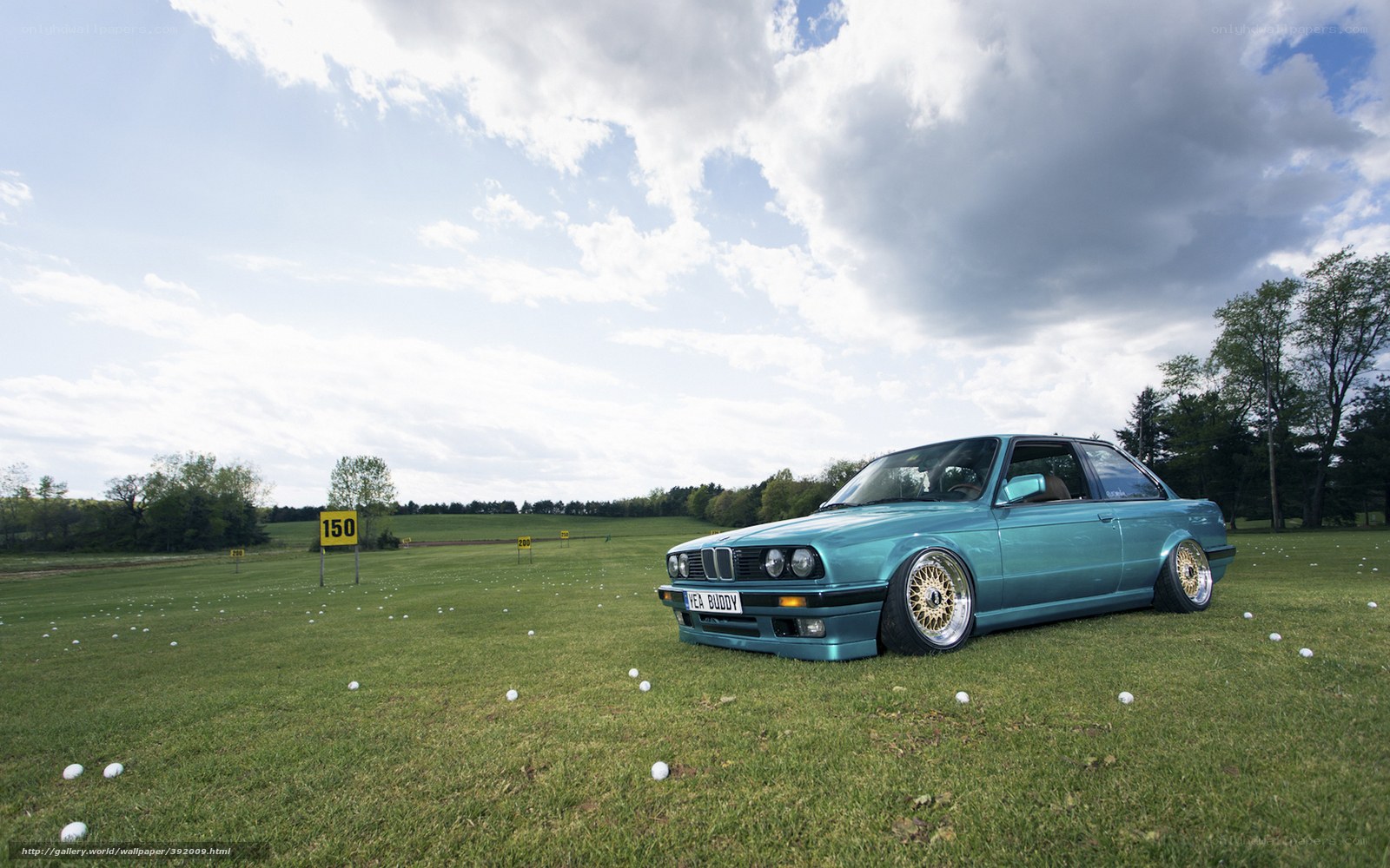 Blue car on a golf course