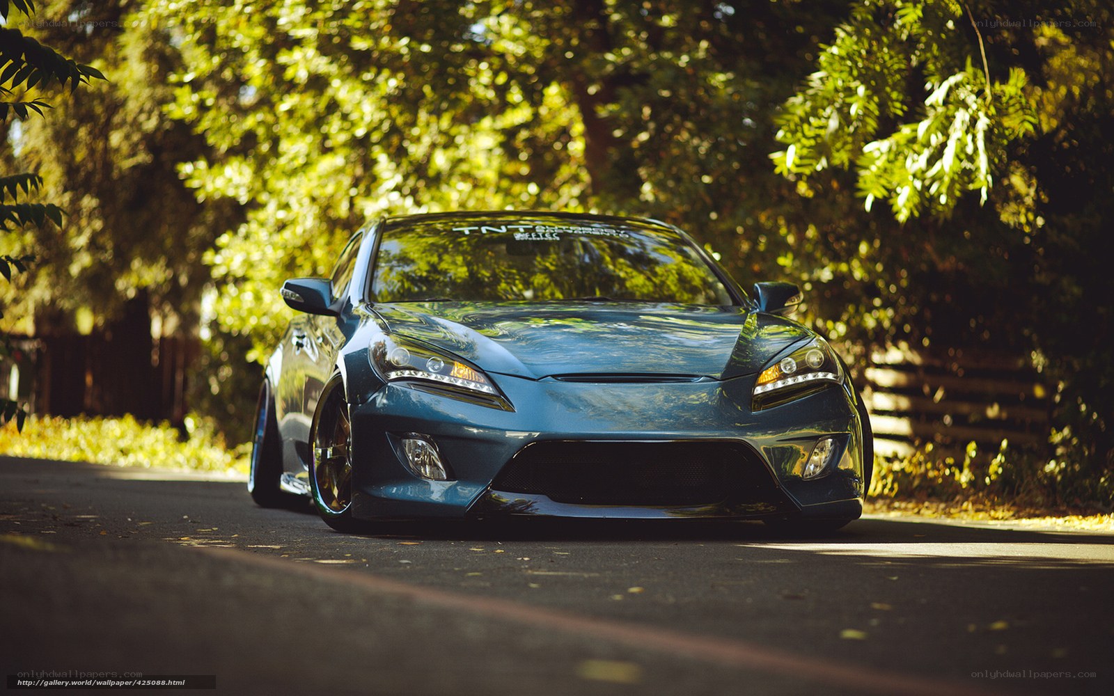 Blue car on a tree-lined road