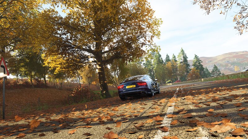 Blue Car on Autumn Road — Brown