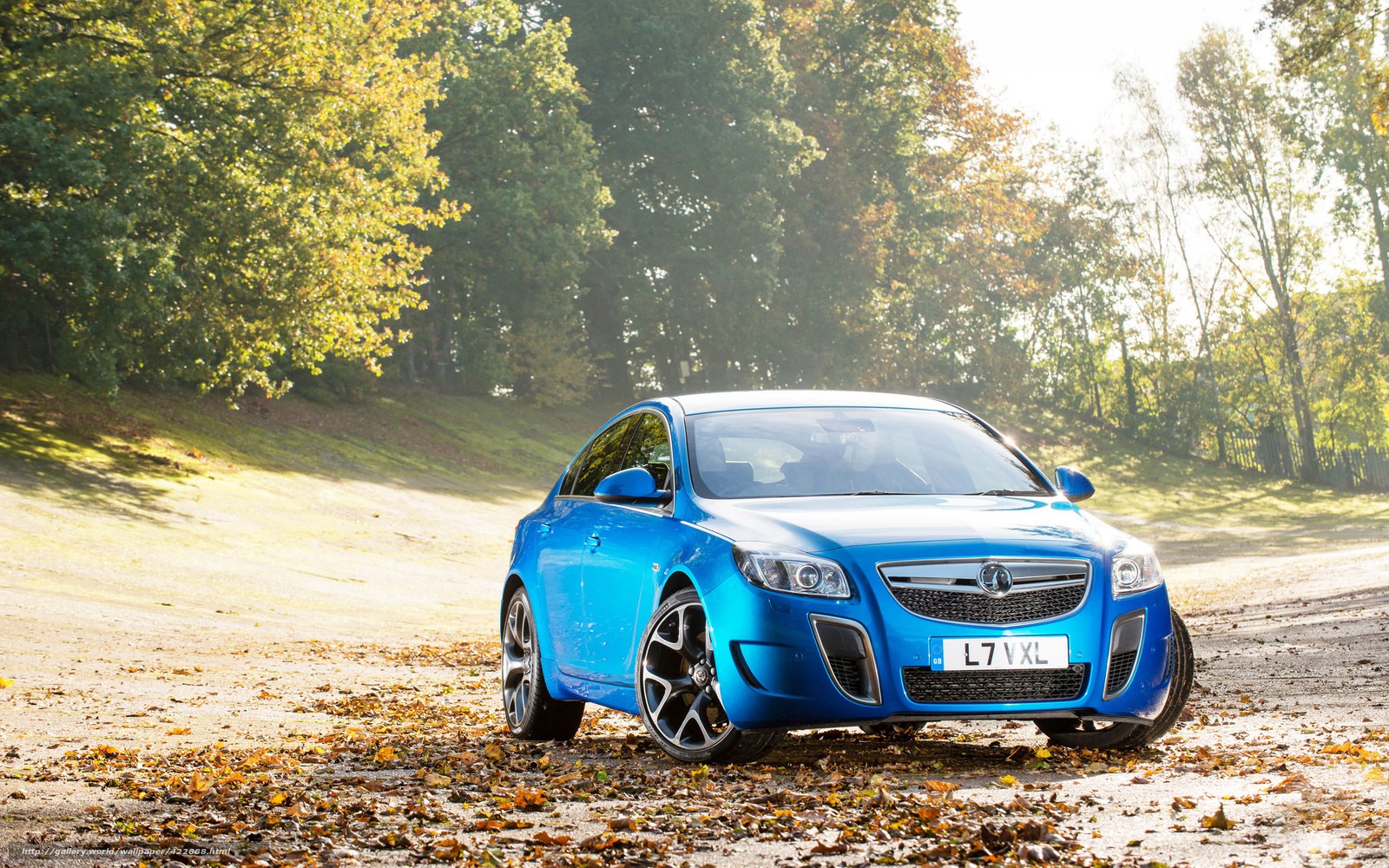 blue car on autumn road