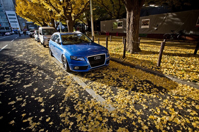 Blue car on autumn street