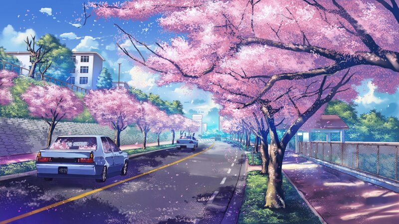 Blue Car on Cherry Blossom Street