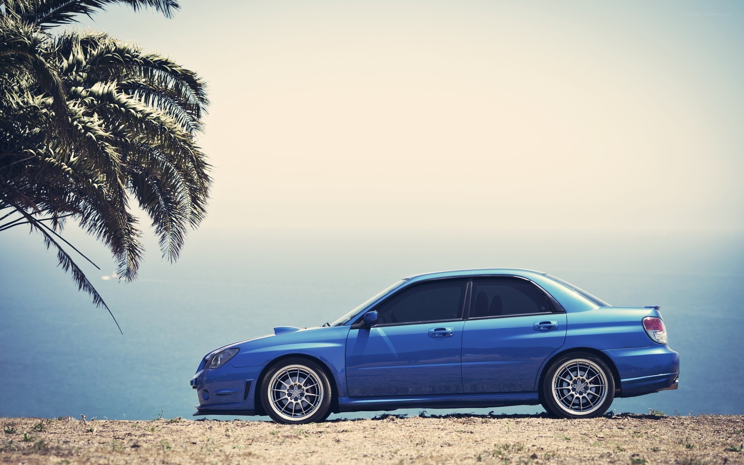 Blue car on cliff overlooking ocean