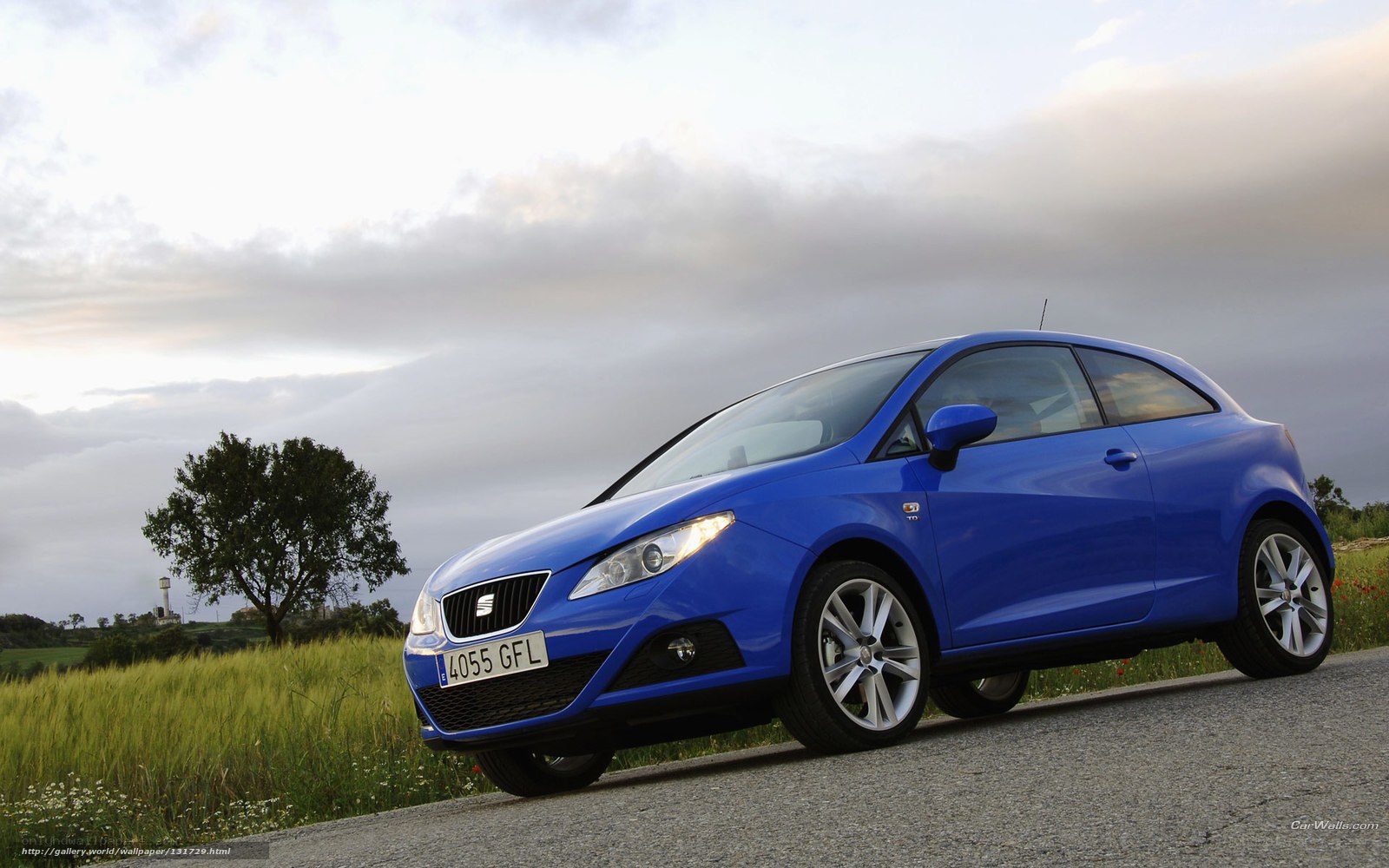 blue car on country road