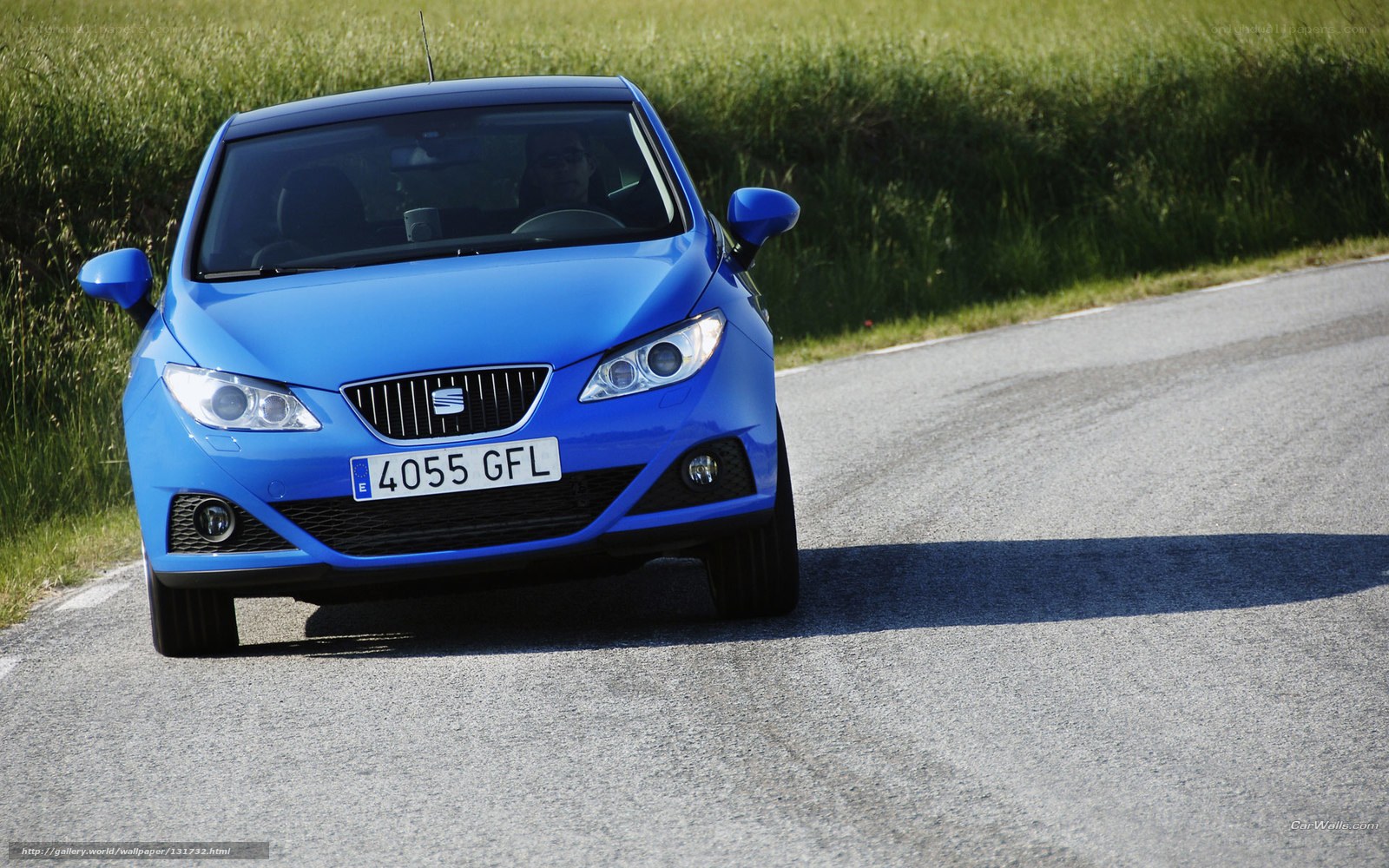 blue car on country road