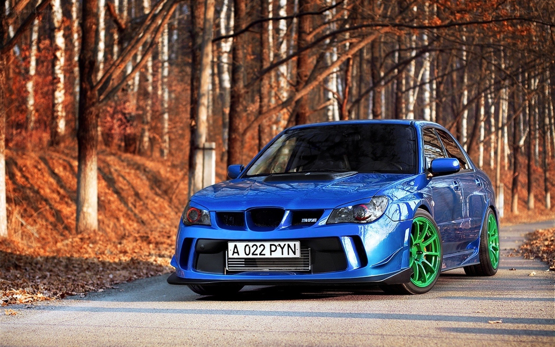 blue car on forest road