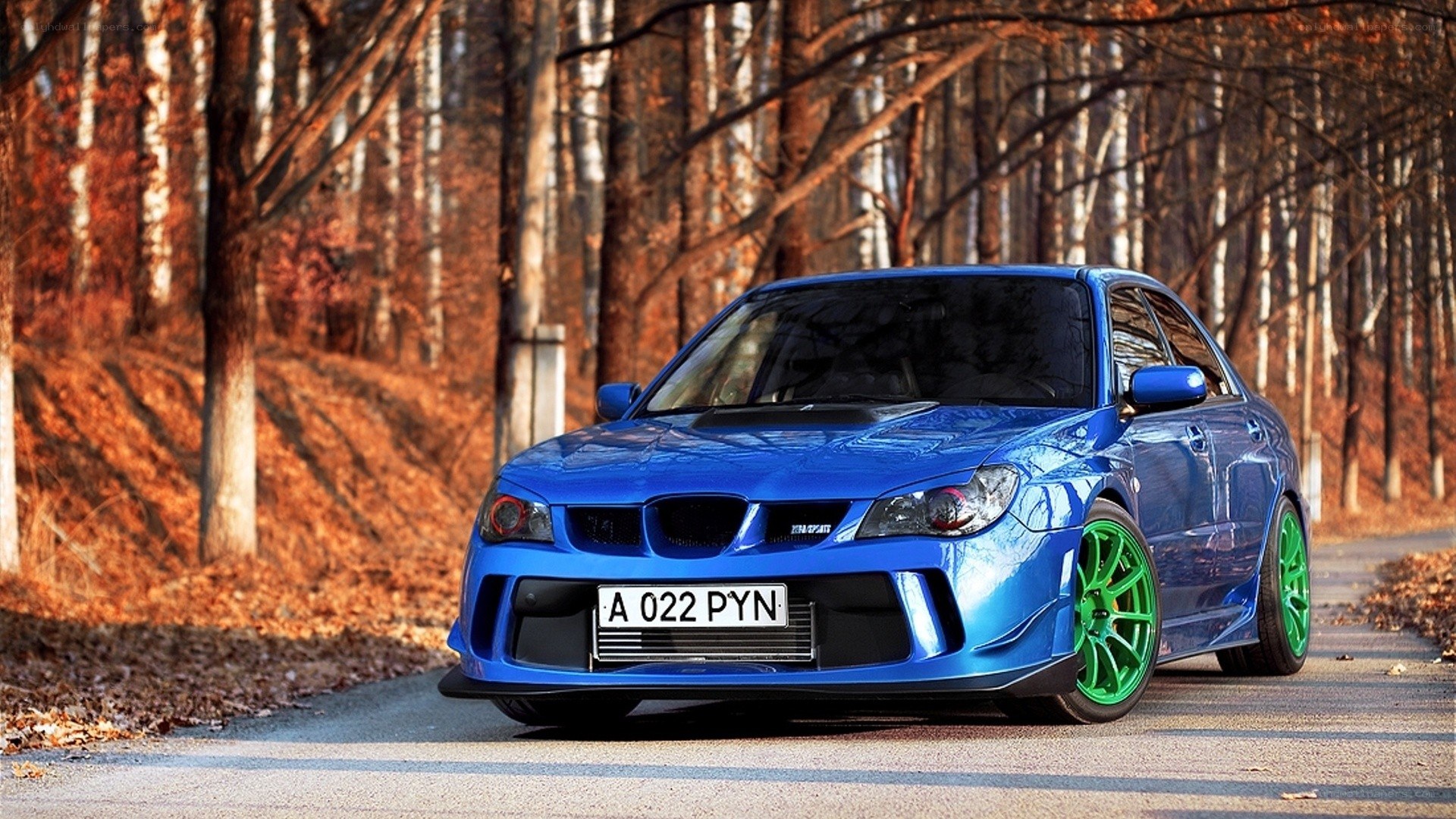 blue car on forest road