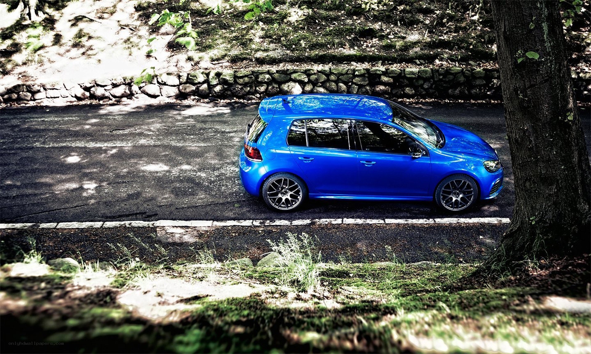Blue car on forest road