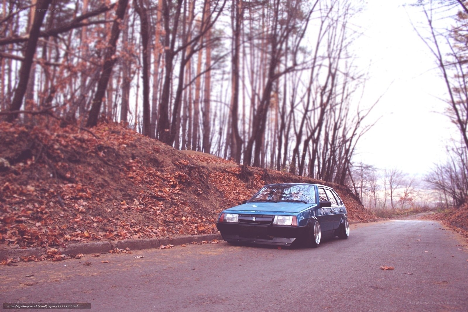 blue car on forest road