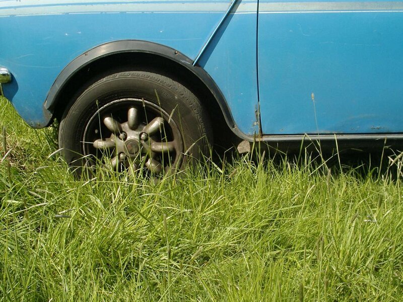 blue car on grass