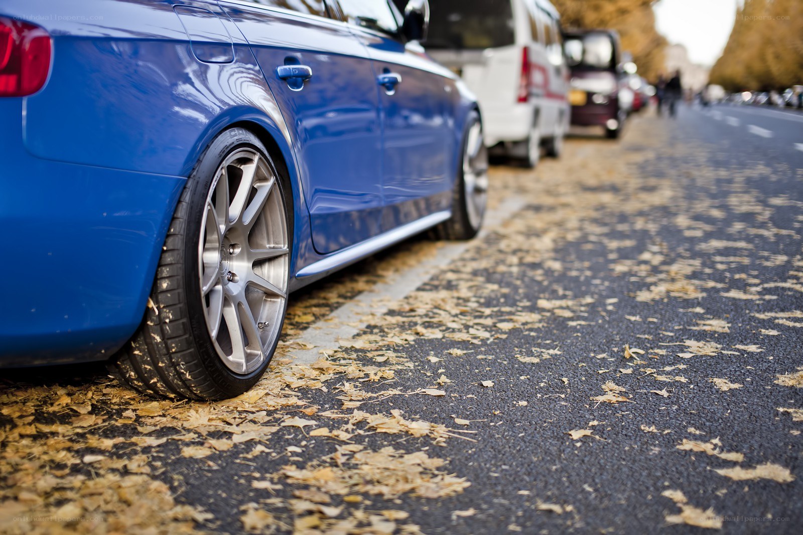 Blue car on leaf-covered street