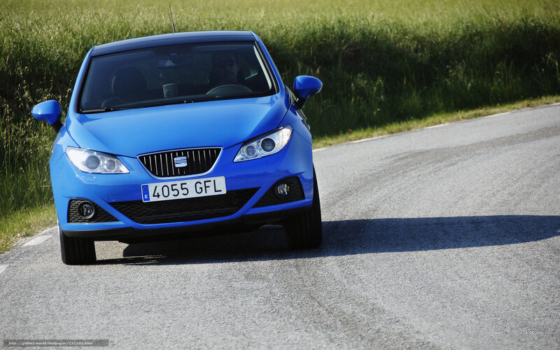Blue Car on Road — Calm