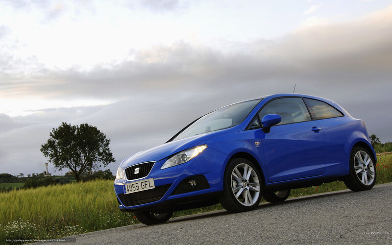 Blue Car on Road — Serene