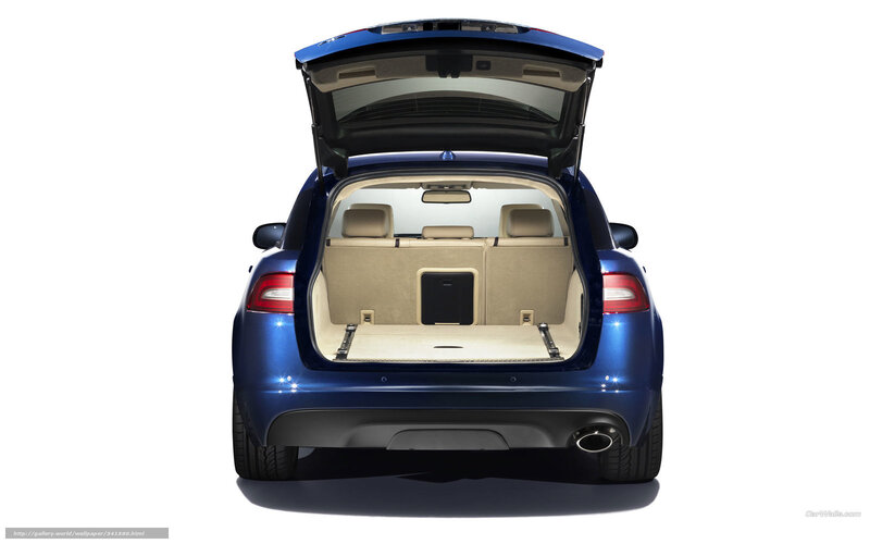 blue car trunk open rear view