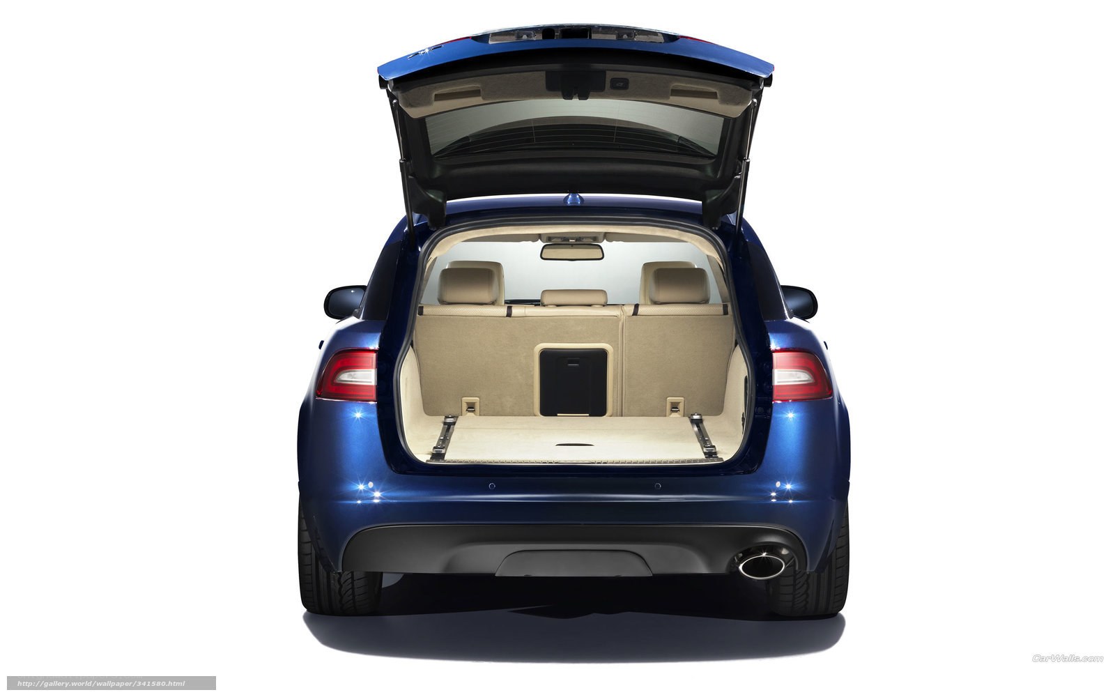 blue car trunk open rear view