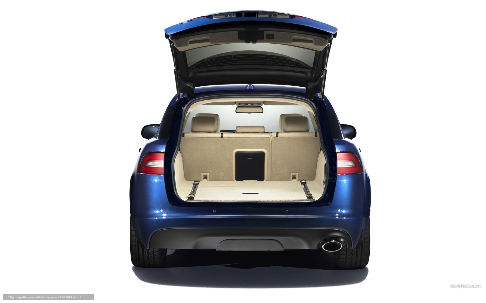 blue car trunk open rear view