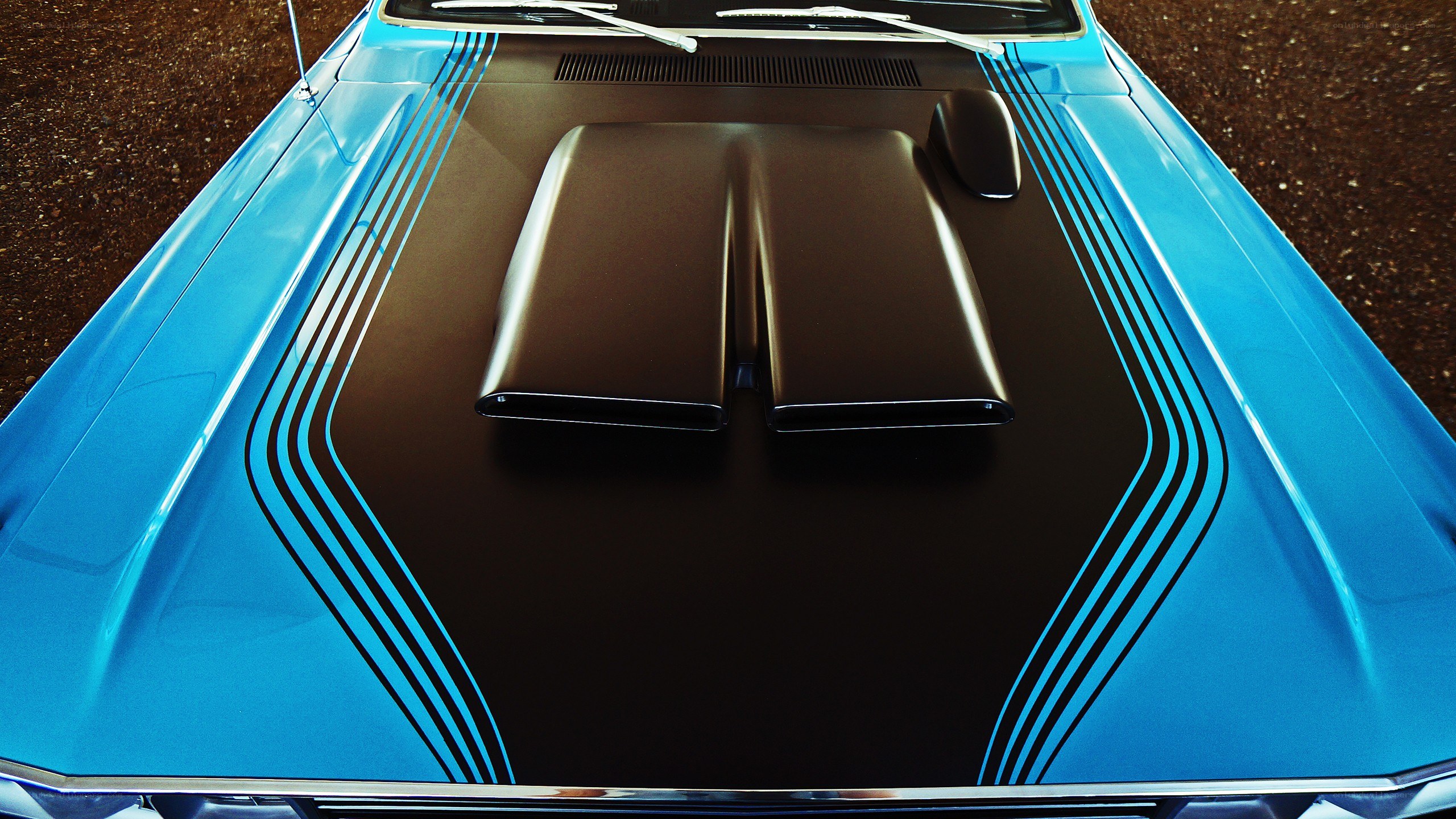 blue car with black hood