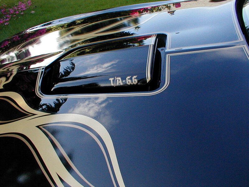 Blue car with T/A-6.6 emblem