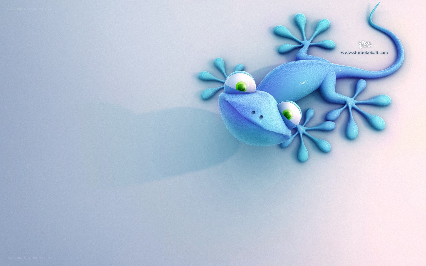 blue cartoon gecko on wall