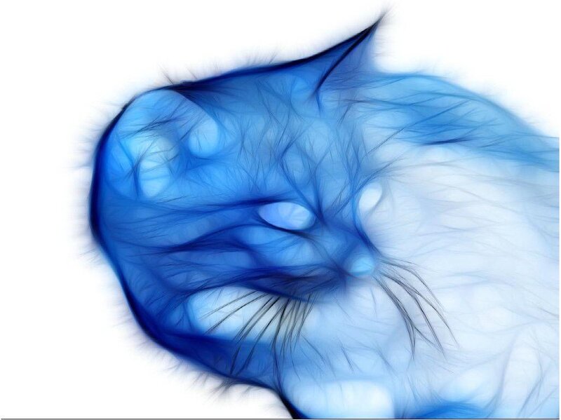blue cat abstract art