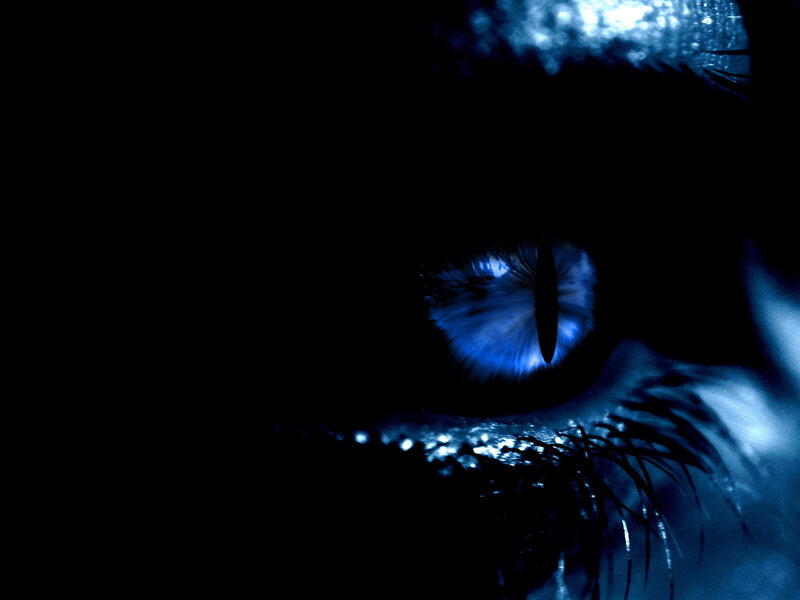 blue cat eye in darkness