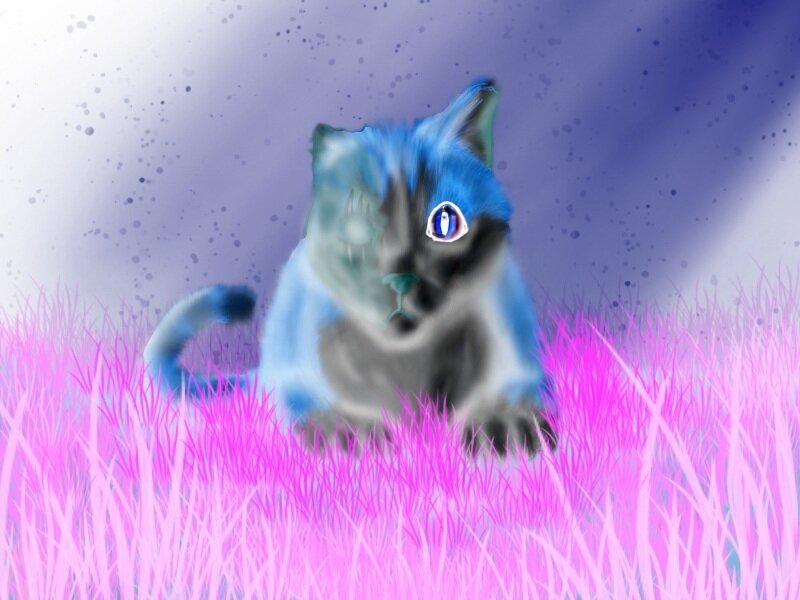 blue cat in pink grass