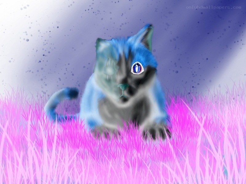 blue cat in pink grass